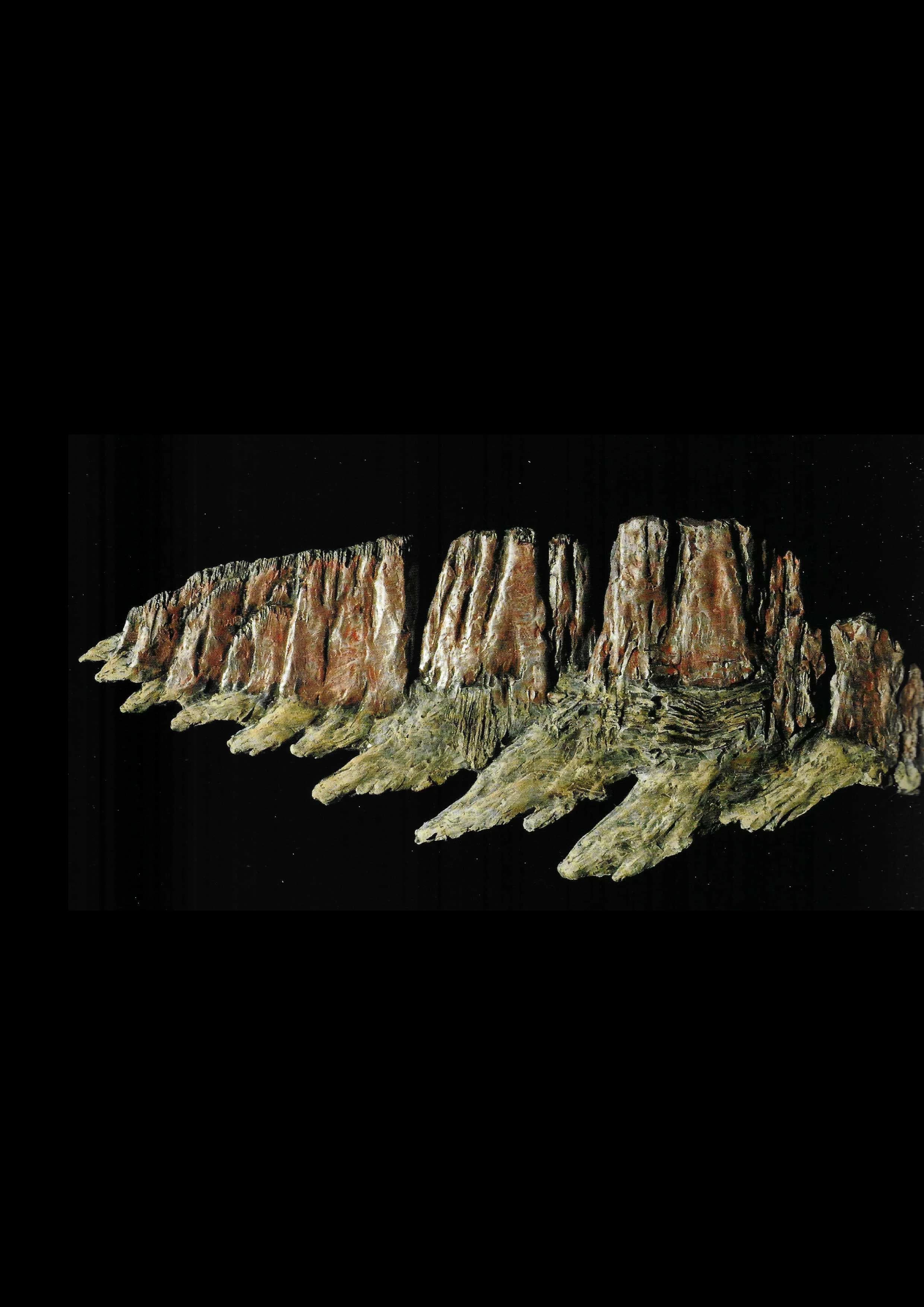 Relief-Rilievo 100 x 44 x 5 cm