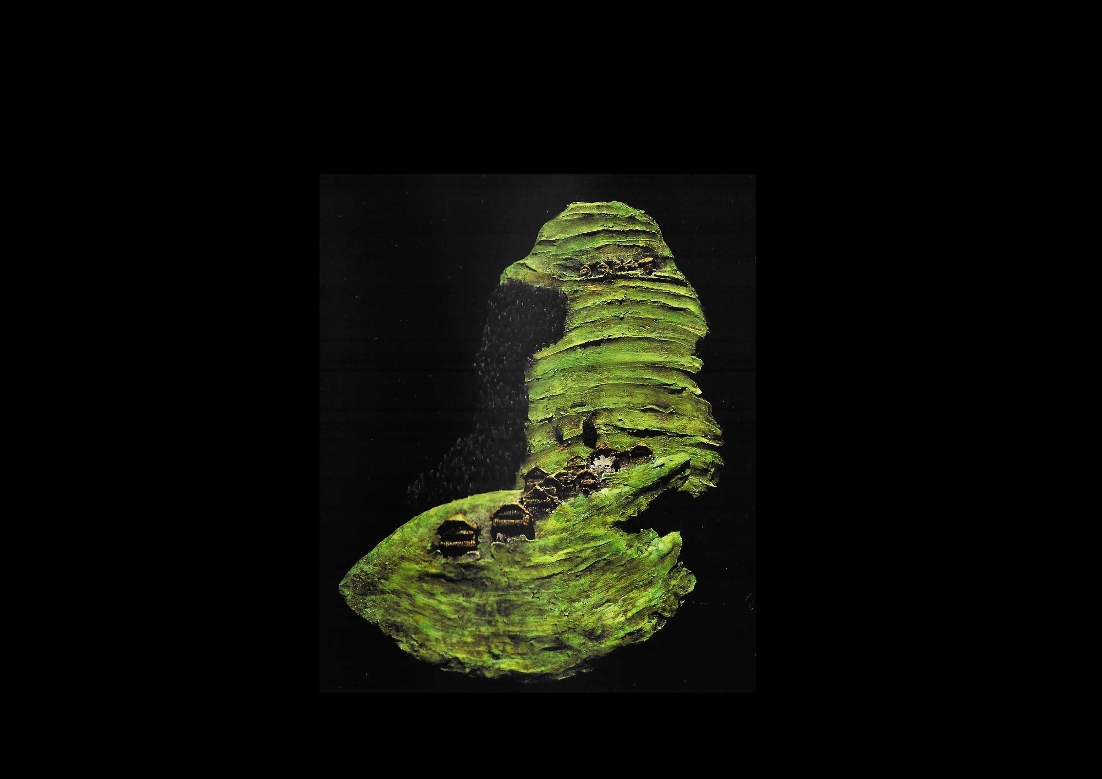 Brach 29 x 37 x 7 cm